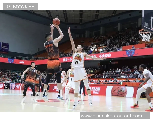 2018年山东高速男篮与辽宁队激战回顾精彩瞬间与赛场亮点分析