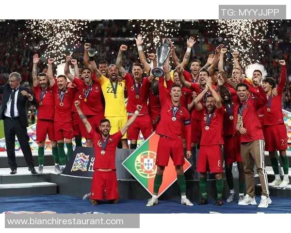 爱尔兰迎战奥地利世预赛激战在即球迷期待精彩对决