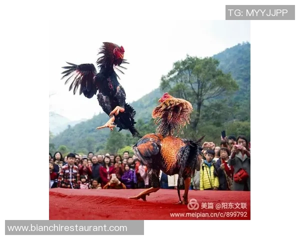 七方镇足球比赛精彩直播回放全程回顾与精彩瞬间分析