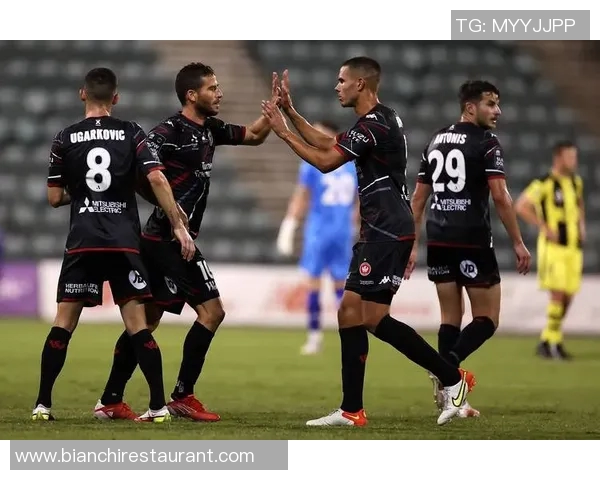 墨尔本城与悉尼FC精彩对决直播全程回顾与分析 墨尔本城与悉尼FC精彩对决直播全程回顾与分析