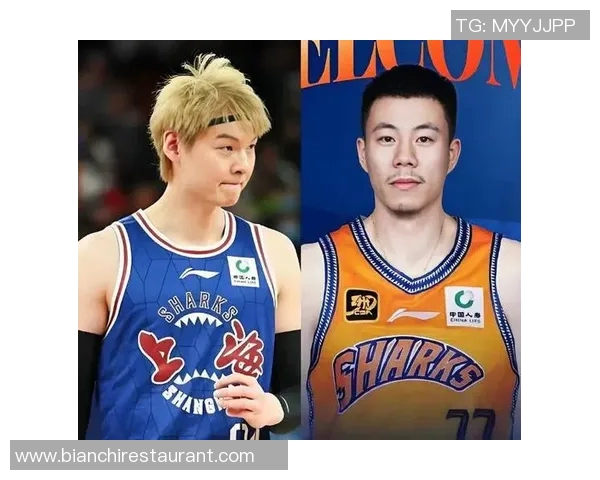 王哲林领衔中国篮球新篇章展现实力与风采的时代巨星之路 王哲林领衔中国篮球新篇章展现实力与风采的时代巨星之路